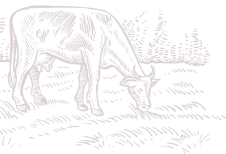 Cow icon